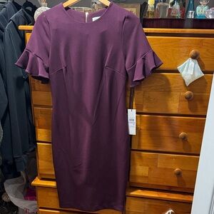 Elegant Ruffle Sleeve Dress beautiful wine color